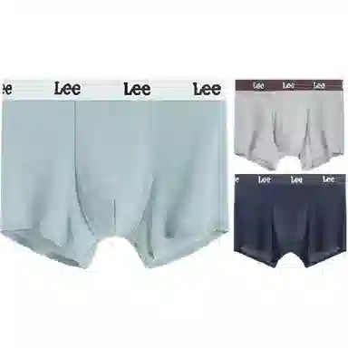 Lee 3