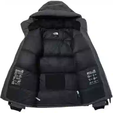 The North Face
