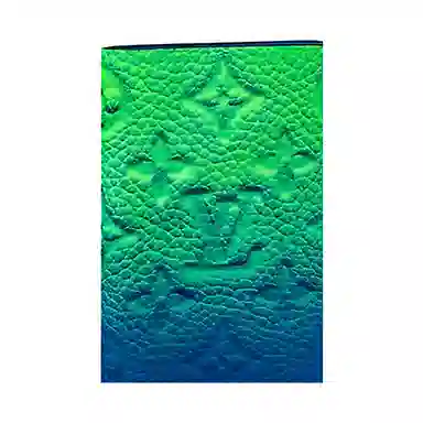 LOUIS VUITTON Pocket Organizer Taurillon