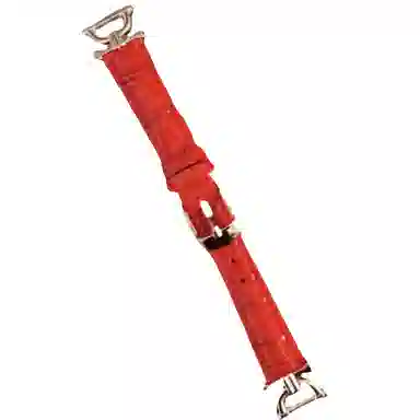 Antey gt5gt4gt2prowatch3watch3probuds