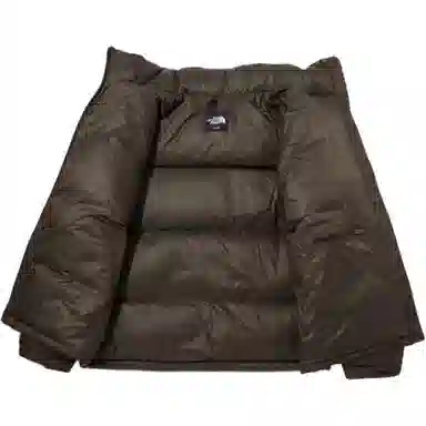 The North Face 1996 Dryvent Down Jacket