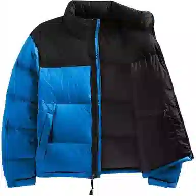 The North Face 1996 Logo Down Jacket