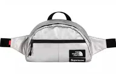 Supreme x The North FaceMetallic Pack Logo