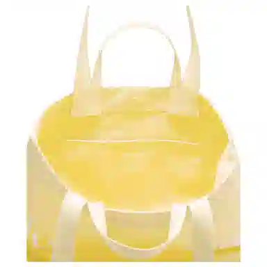 lululemon Double-Handle 17L Tote