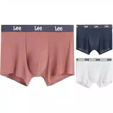 Lee 3