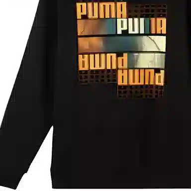 PUMA URBAN GRAPHIC HOODIE