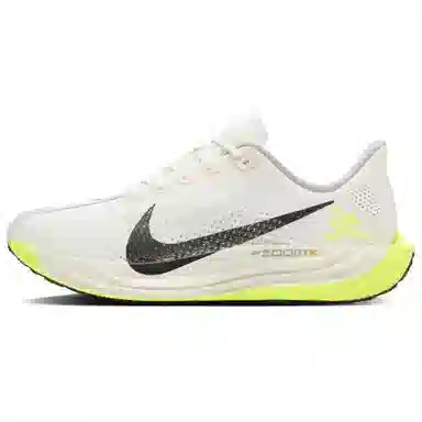 Nike Pegasus Plus