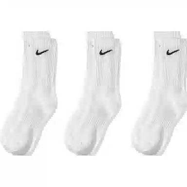 Nike Everyday Lightweight Crew Socks
