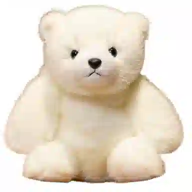 25cm