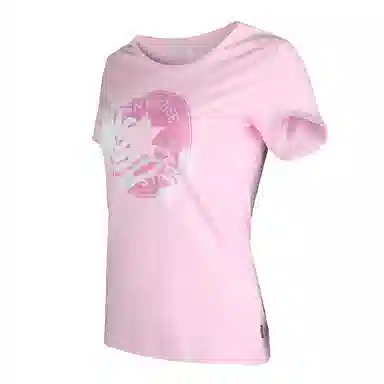 Converse CHUCK TAYLOR T