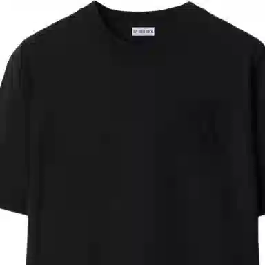 Burberry T