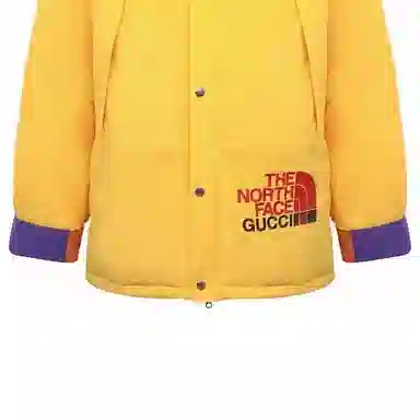 GUCCI x THE NORTH FACE Logo
