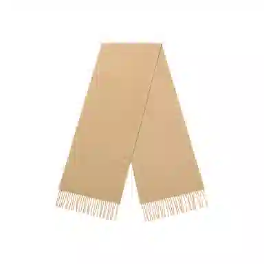 Fancet studios 100