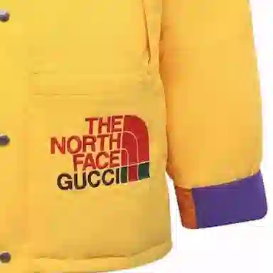 GUCCI x THE NORTH FACE Logo
