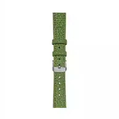 CHENSONG GT5Progt4gt3watch4