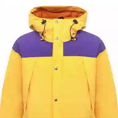 GUCCI x THE NORTH FACE Logo