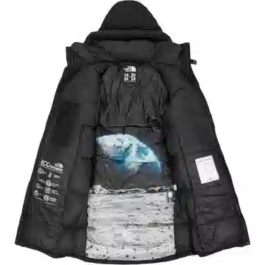 The North Face Logo Hooded Down Jacket Black