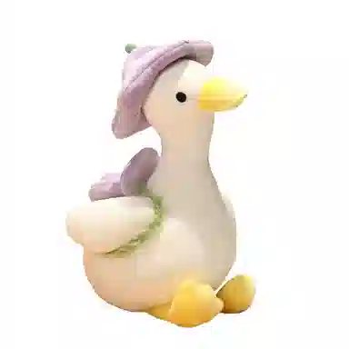 Teacher Lin 35cm40cm55cm