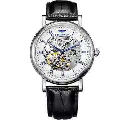 BRIGADA Mechanical Heart Series