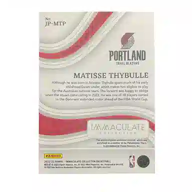 PANINI 2022-23 IMM 0613 patch