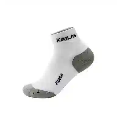 KAILAS 1