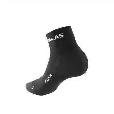 KAILAS 1