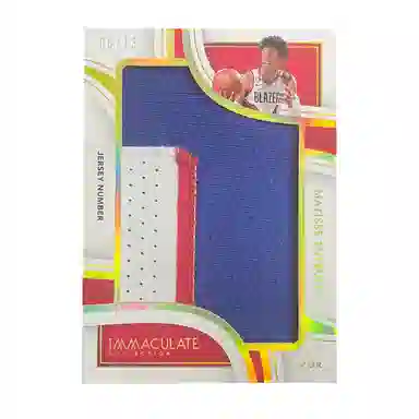 PANINI 2022-23 IMM 0613 patch
