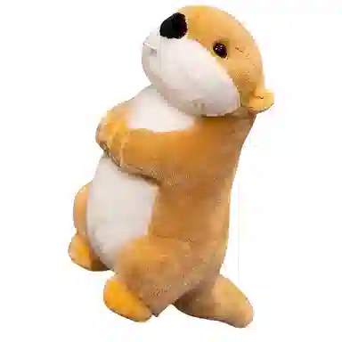 22cm