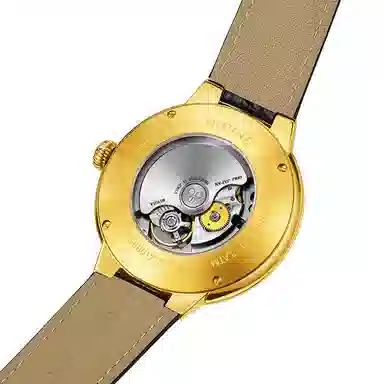 HIPINE Explorer Series