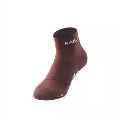 KAILAS 1
