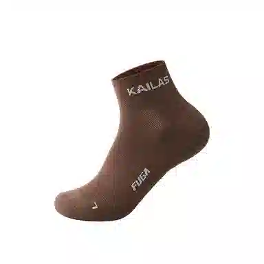 KAILAS 1