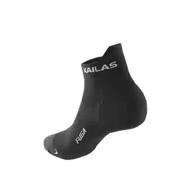 KAILAS 1