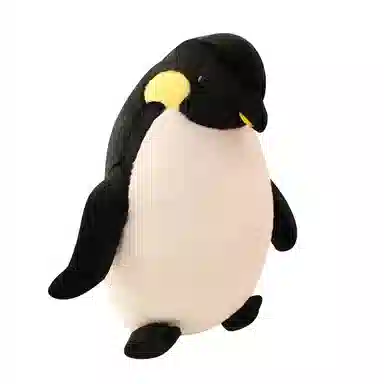 40cm50cm60cm80cm