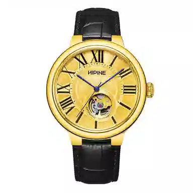 HIPINE Explorer Series