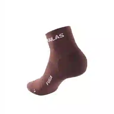 KAILAS 1