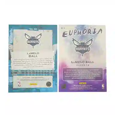 PANINI 2024 3199+2023 2399