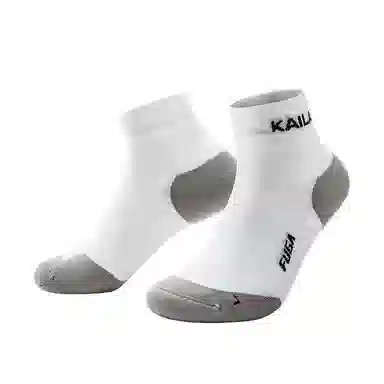 KAILAS 1
