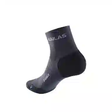KAILAS 1