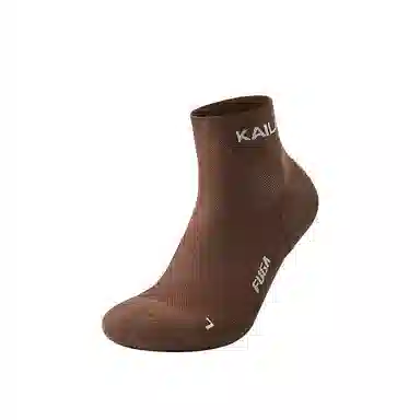 KAILAS 1