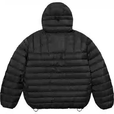 Supreme Micro Down Half Zip Hooded Pullover