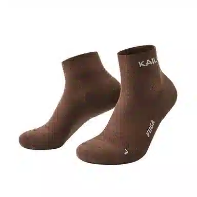 KAILAS 1
