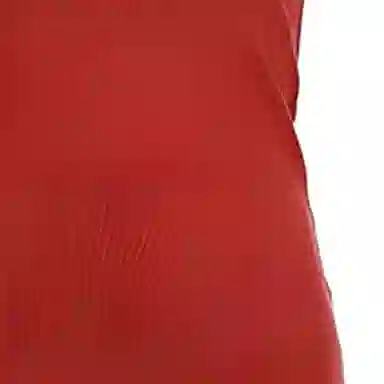 Polo Ralph Lauren Logo T