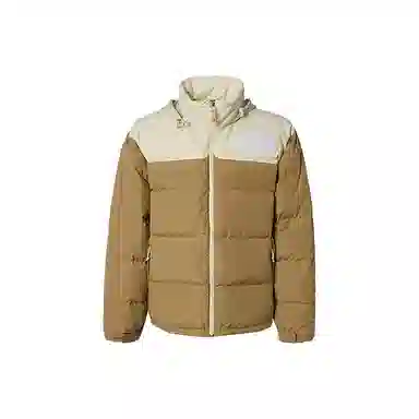 THE NORTH FACE 1992 logo