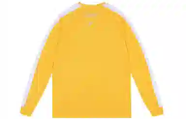 VEIDOORN x POKEMON T