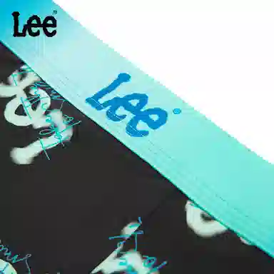 Lee 1