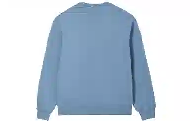 Champion FW24 c-tech Logo