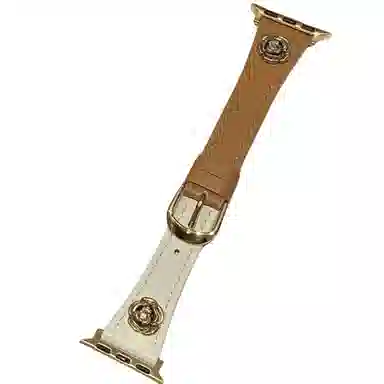 Antey iWatch Apple WatchS78910 45mm424446