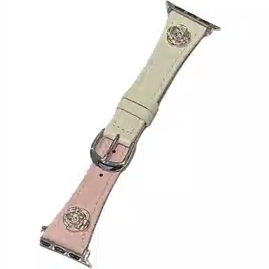 Antey iWatch Apple WatchS78910 45mm424446