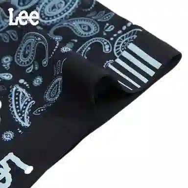Lee 1