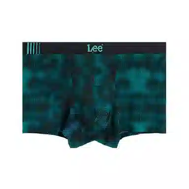 Lee 1